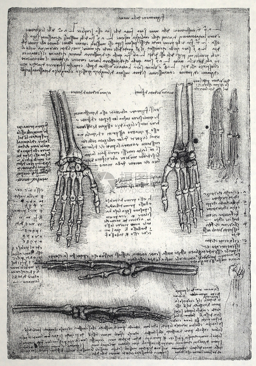 解解剖学教育身体历史绘画生理插图男人古董男性保健图片