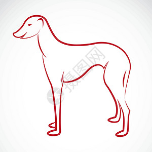 伯纳德狗的矢量图像阿扎瓦赫斑点食物狐狸牧羊人短毛小狗红色黑色猎犬插图插画