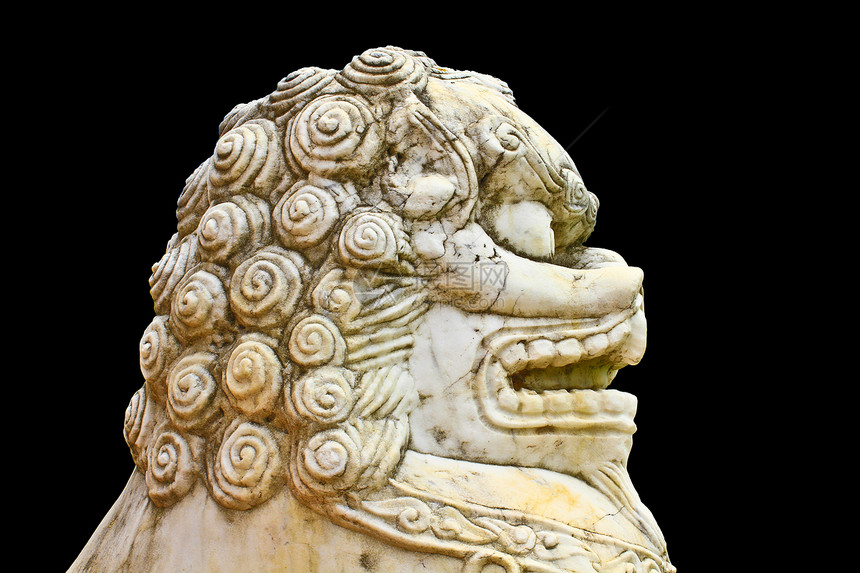黑色背景的狮子雕像动物石头文化金子力量宗教雕塑建筑学旅行装饰品图片