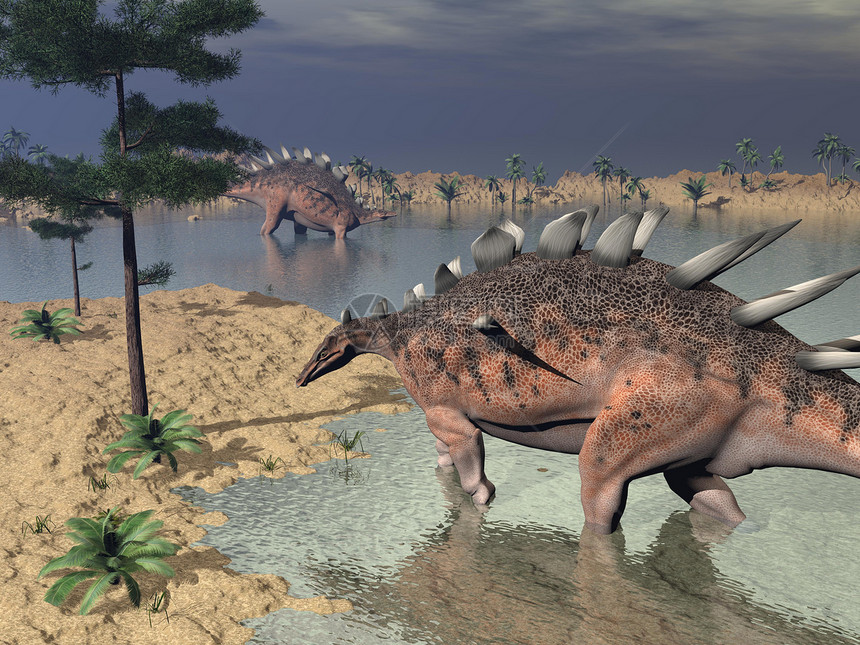 沙漠中剑龙恐龙3D转化爬虫灭绝灰色侏罗纪动物野生动物插图图片
