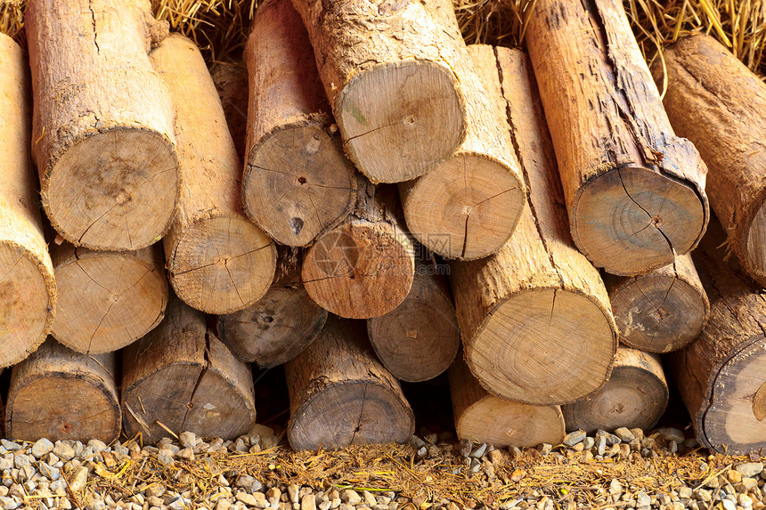 木材材料燃料生态砍伐制造业记录环境生产柴堆棕色图片