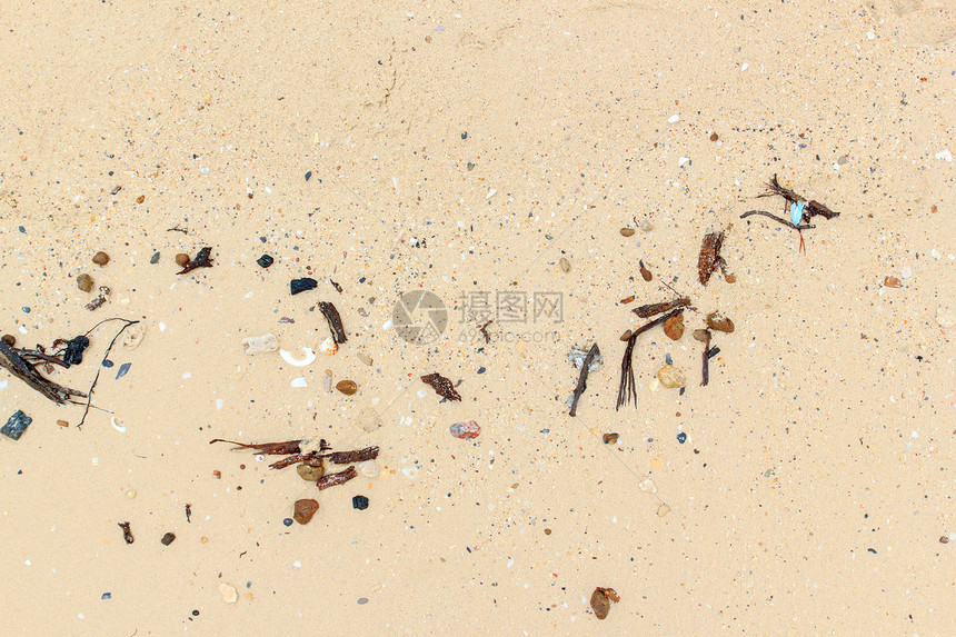 带沙的海壳海岸海景旅游假期异国旅行阳光海洋沙丘情调图片