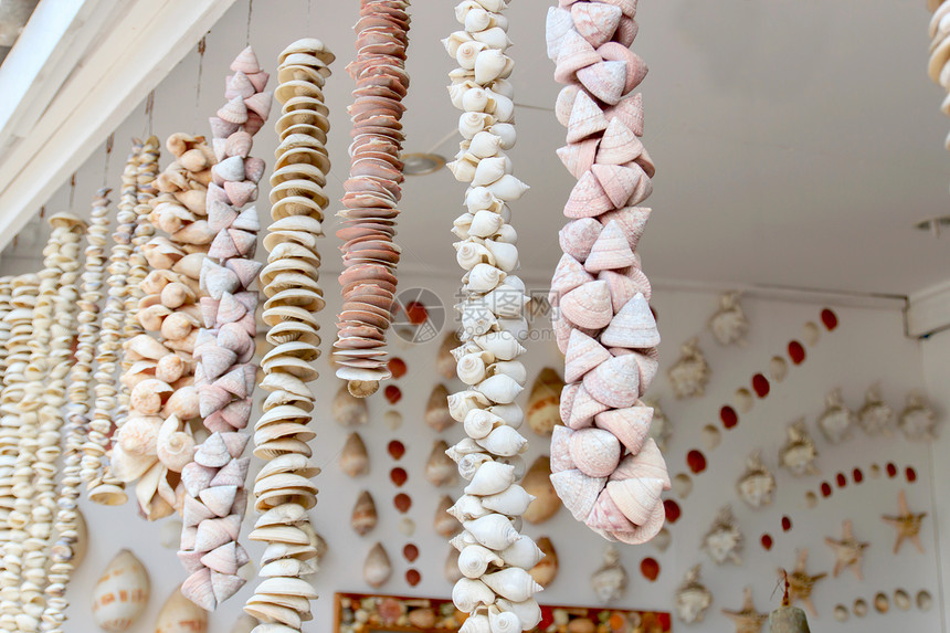 贝壳牌圆圈家具美化工艺海洋贝类建筑学装饰品墙纸动物图片