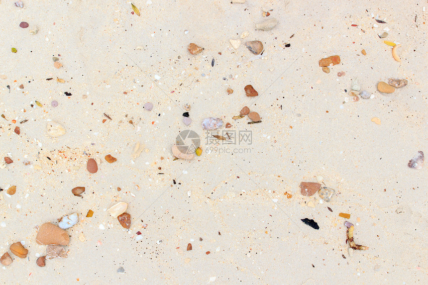 带沙的海壳晴天热带沙漠旅行假期旅游天空海岸线沙丘海景图片