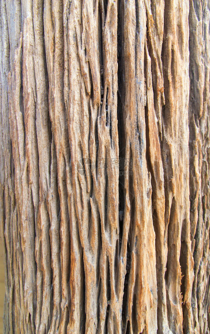 木墙材料装饰橡木风格木地板桌子木材地面框架硬木图片