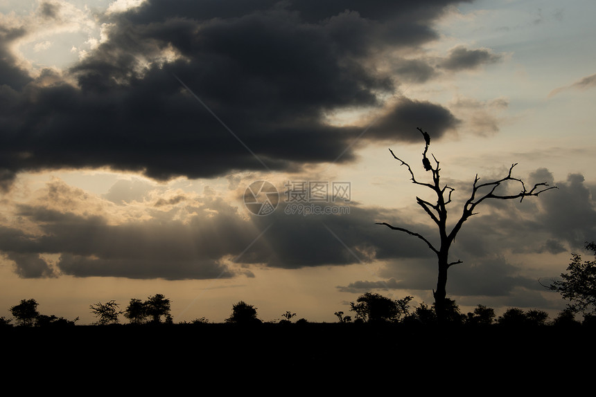 非洲南部Kruger公园日落图片