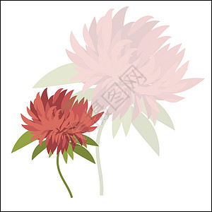 阿斯特拉蒂用于设计设计的带有花花 Astra 的挂牌卡插画