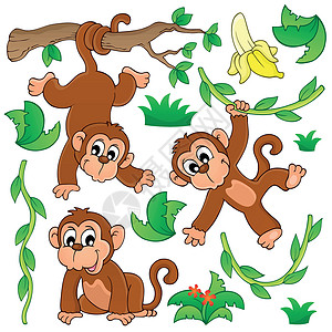 猴子主题收藏 1背景图片