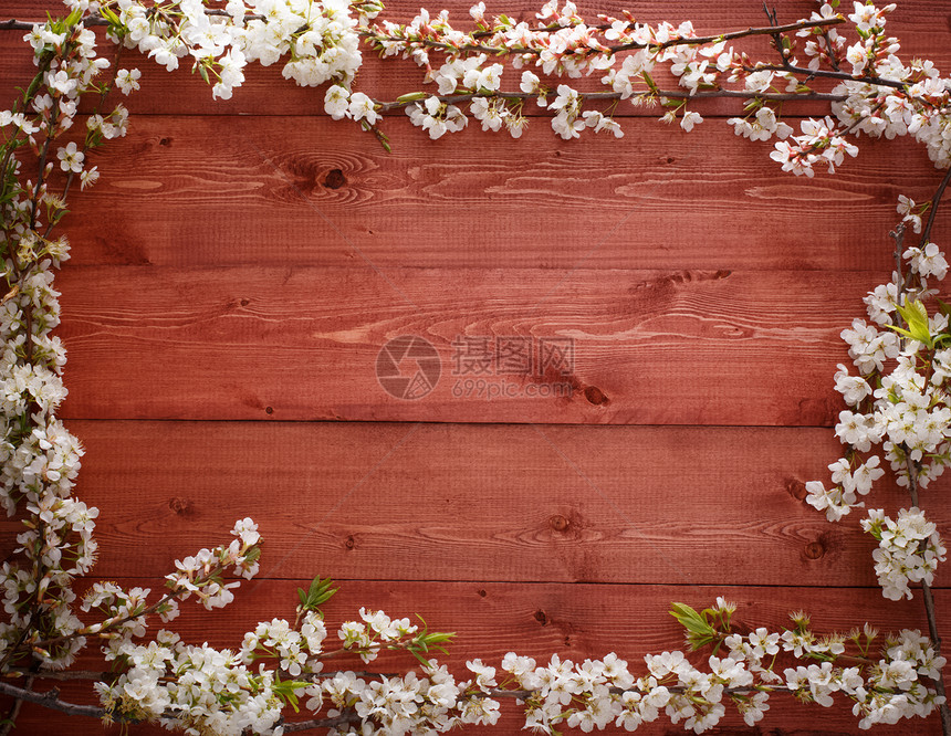 木材纹理背景上的夏花轻木国家木工墙纸平行线松树硬木岩石木头资源图片
