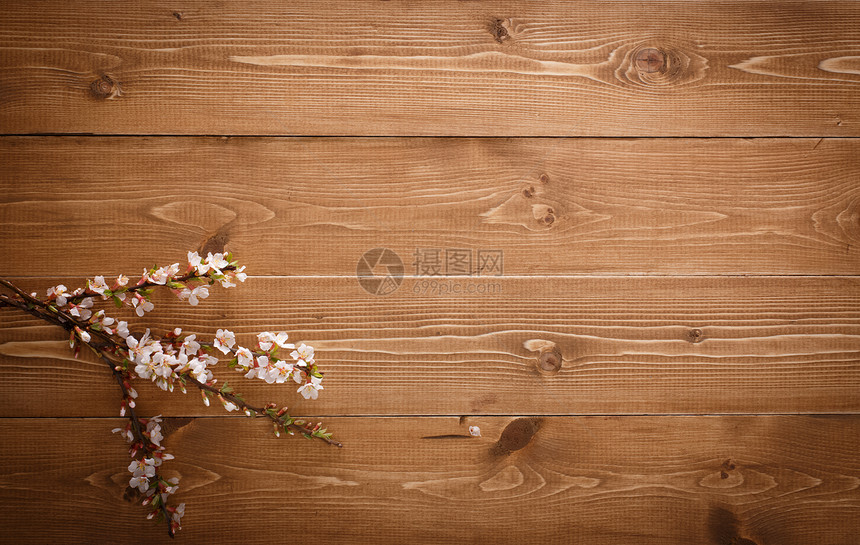 在木材纹理背景与 copyspac 的夏天花木头乡村木工岩石材料地板资源花朵墙纸轻木图片