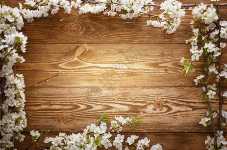 在木材纹理背景与 copyspac 的夏天花轻木材料花朵资源松树乡村国家地板平行线硬木背景图片