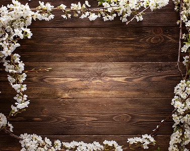 在木材纹理背景与 copyspac 的夏天花岩石建筑硬木墙纸地板资源木工木头材料花朵背景图片