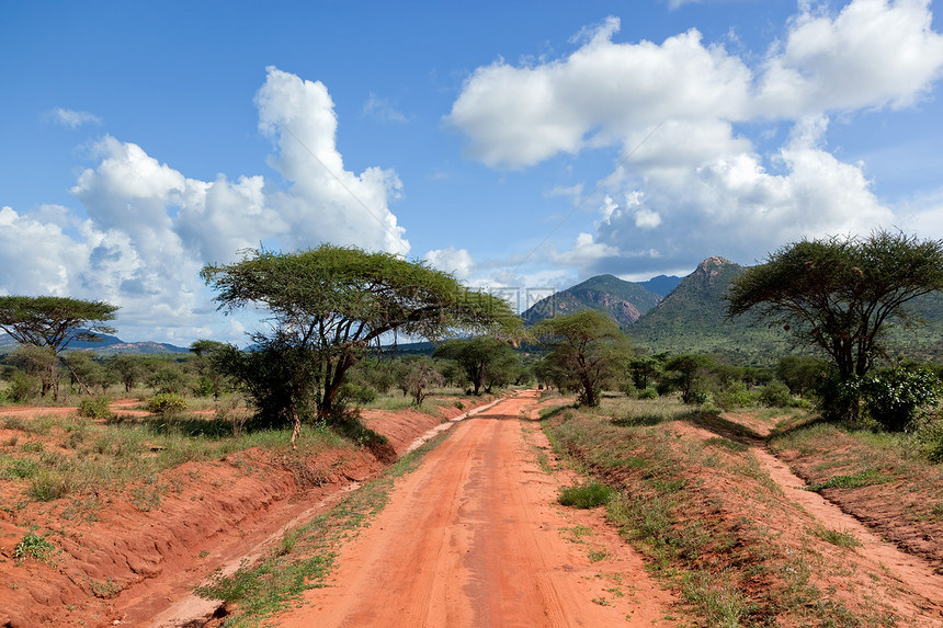 红地路 热带草原灌树 察沃西部 肯尼亚 非洲植物环境大草原土壤泥路国家荒野天空地面公园图片