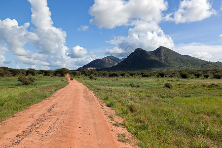 红地路 热带草原灌树 察沃西部 肯尼亚 非洲地面生态国家荒野丘陵泥路晴天风景植物土壤背景图片