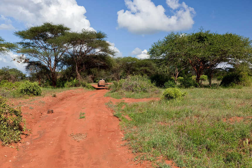 红地路 热带草原灌树 察沃西部 肯尼亚 非洲风景荒野地面天空旅行土壤国家大草原晴天环境图片