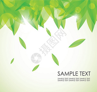 绿色背景的叶子图案 页眉和页眉框架墙纸花园海藻曲线插图艺术装饰品植物巧克力背景图片