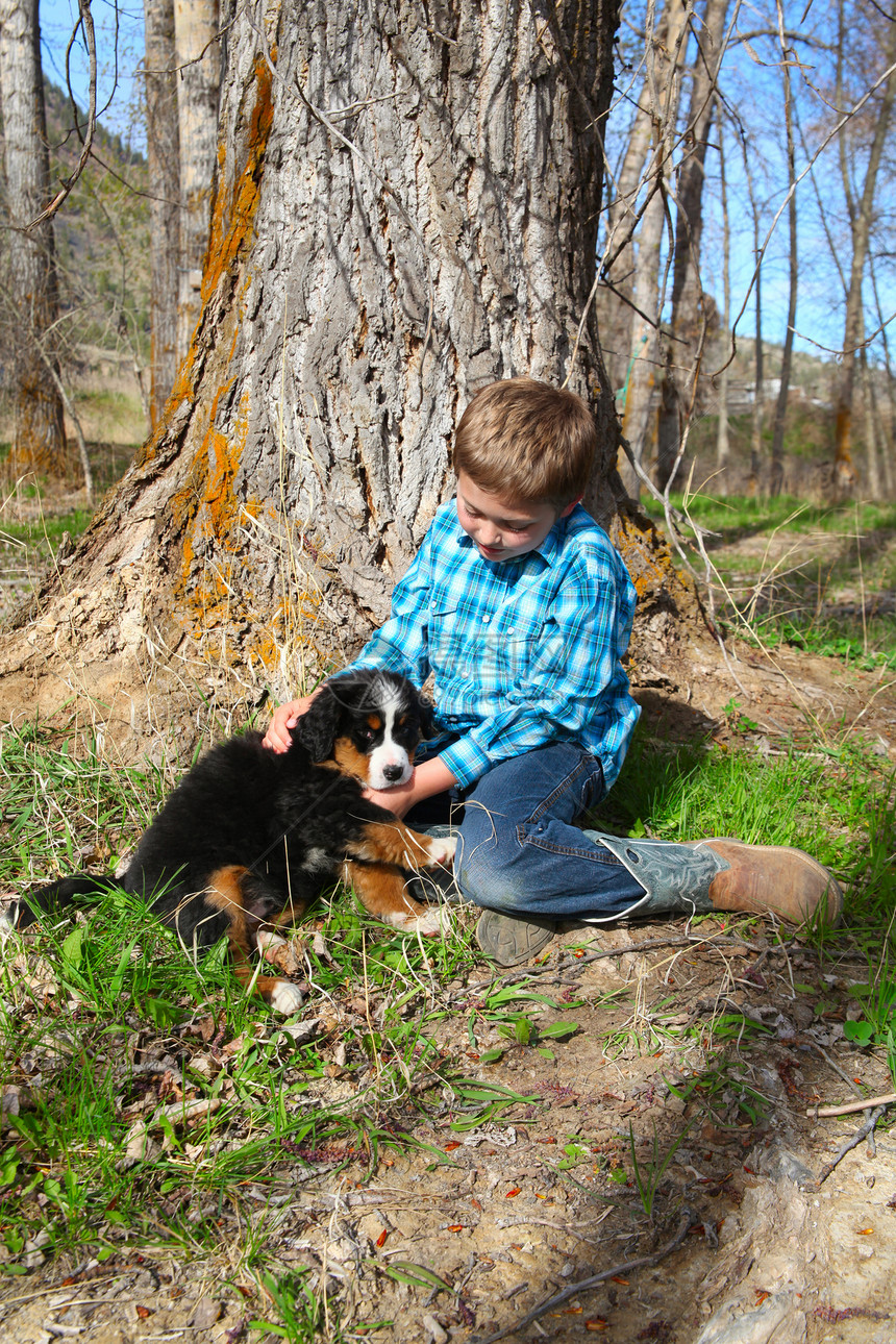 男孩和小狗棕色孩子伴侣场地白色乐趣男生宠物犬类朋友图片