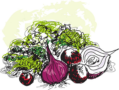 蔬菜静止不动静生物洋葱萝卜插图饮食厨师青菜草图绘画静物沙拉插画