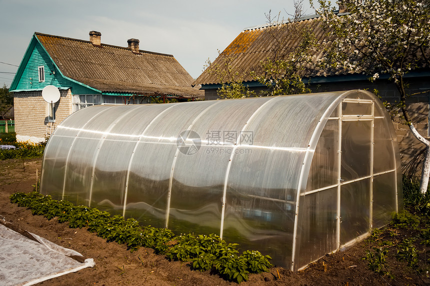 温室气体幼苗花园收获蔬菜绿色生长塑料乡村培育房子图片