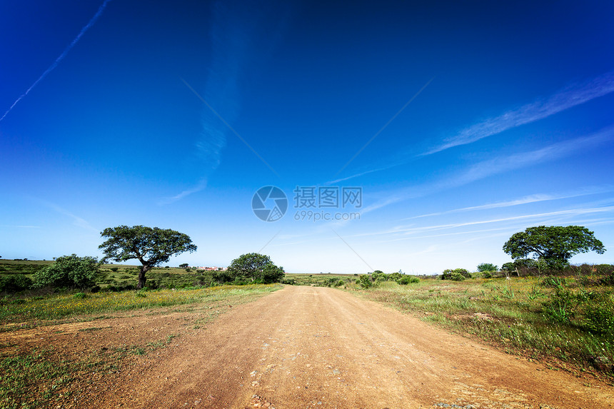 绿草田地景观草地蓝色绿色农场土地森林天空风景地平线太阳图片