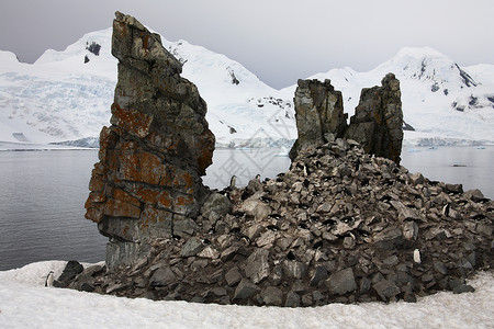 岩层上的企鹅殖民地     南极洲高清图片