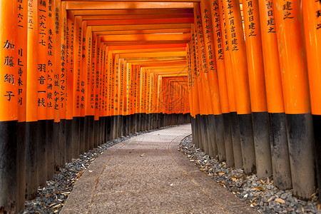 伏见区日本京都的神庙文化观光寺庙天空旅游佛教徒地标橙子遗产精神背景