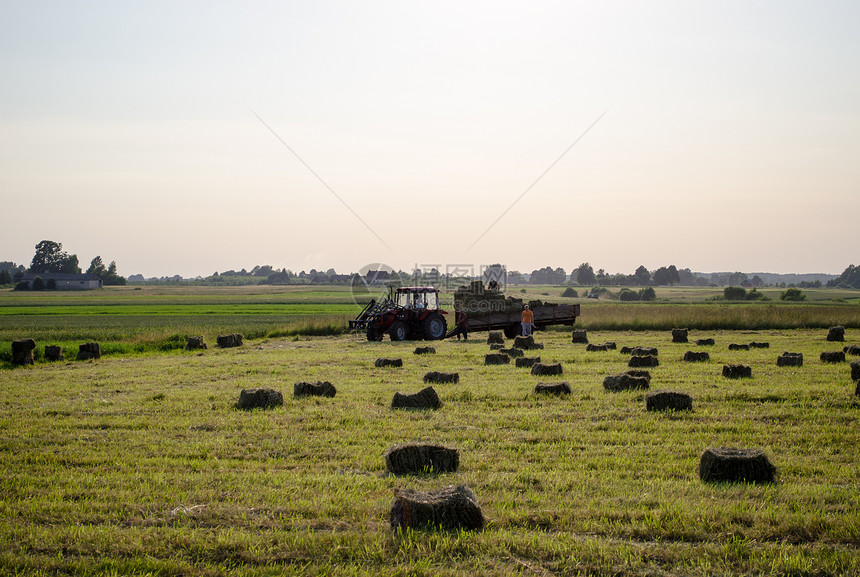 农民将干干草稻捆包装到拖拉机上稻草运输工作大车团体农村收成农业草地农田图片