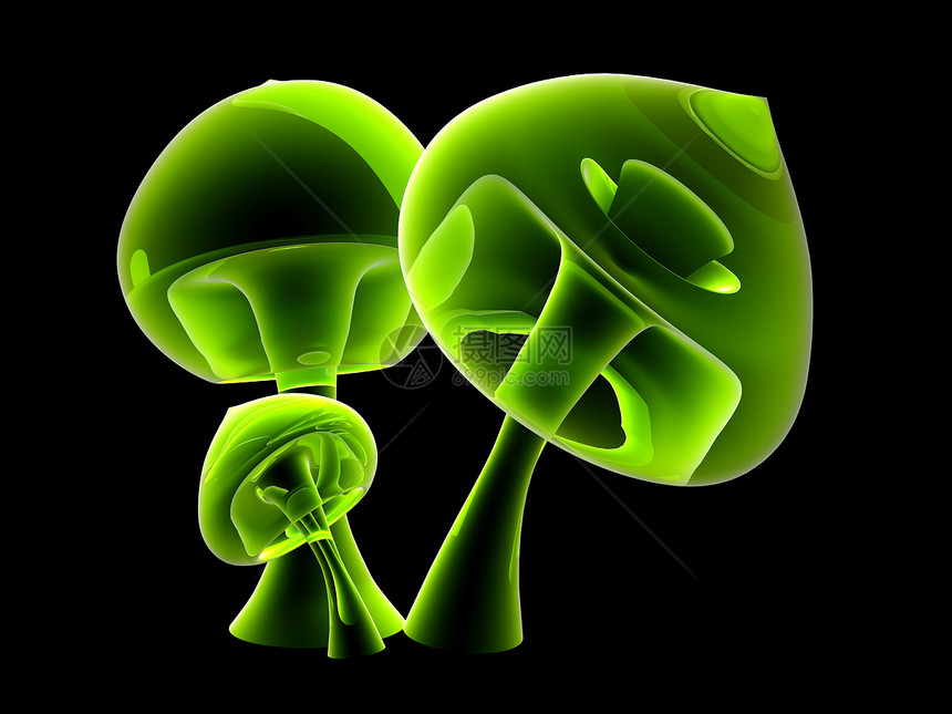 怪异的半透明蘑菇模具植物毒性绿色毒菌宏观射线辐射图片