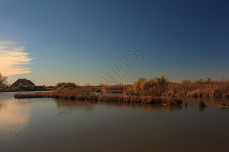 诺沃山谷运河自然保护区河口植被湿地小马废墟沼泽背景图片