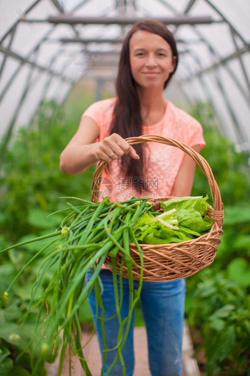妇女手中的一篮子绿菜收成花园温室女士植物香菜菠菜团体饮食萝卜图片