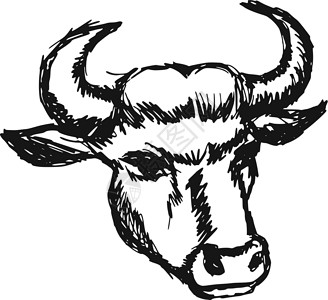 牛头黑白素材牛头鼻子白色插图耳朵黑色动物手绘牛奶奶制品牛肉插画