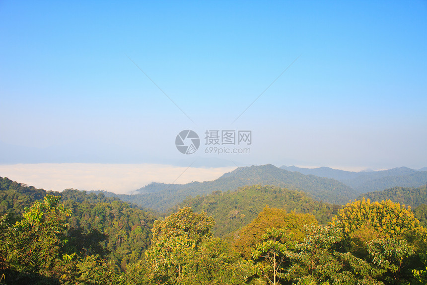 以森林为前景的雾大海橙子蓝色季节木头农村旅行环境天气松树国家图片