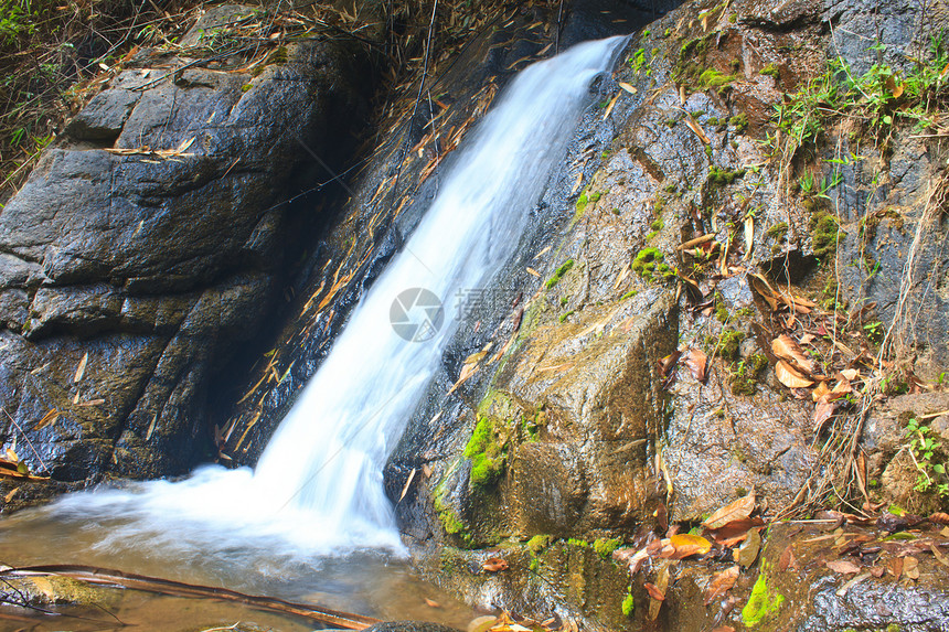 深森林自然瀑布旅行热带公园季节蓝色风景天堂运动池塘叶子图片