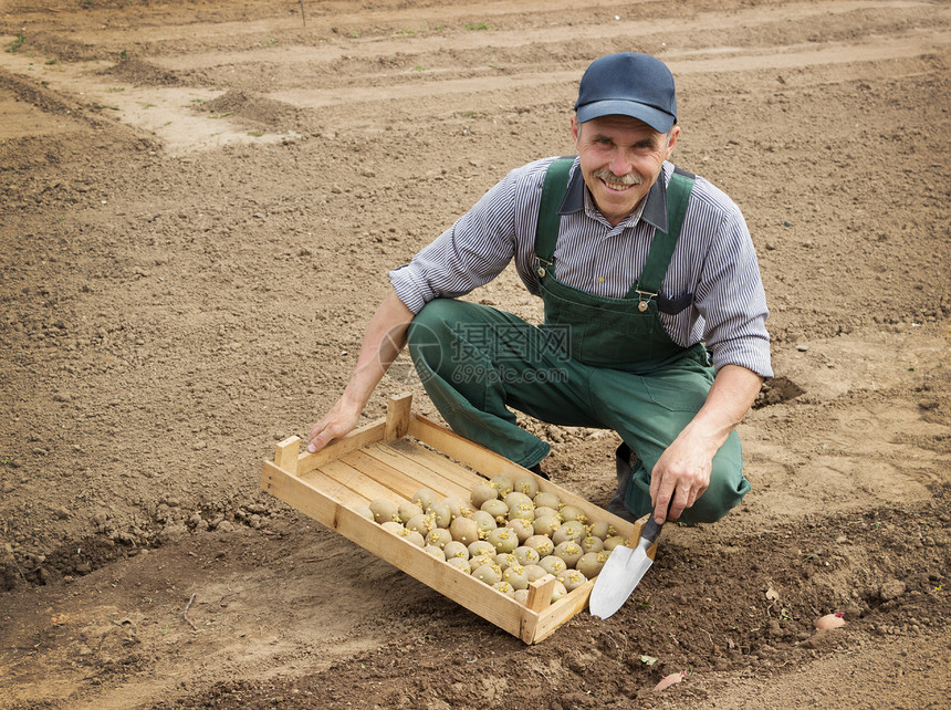农民种植马铃薯快乐图片