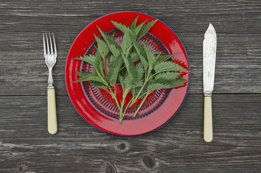 用于健康食物的新鲜新春草药图片