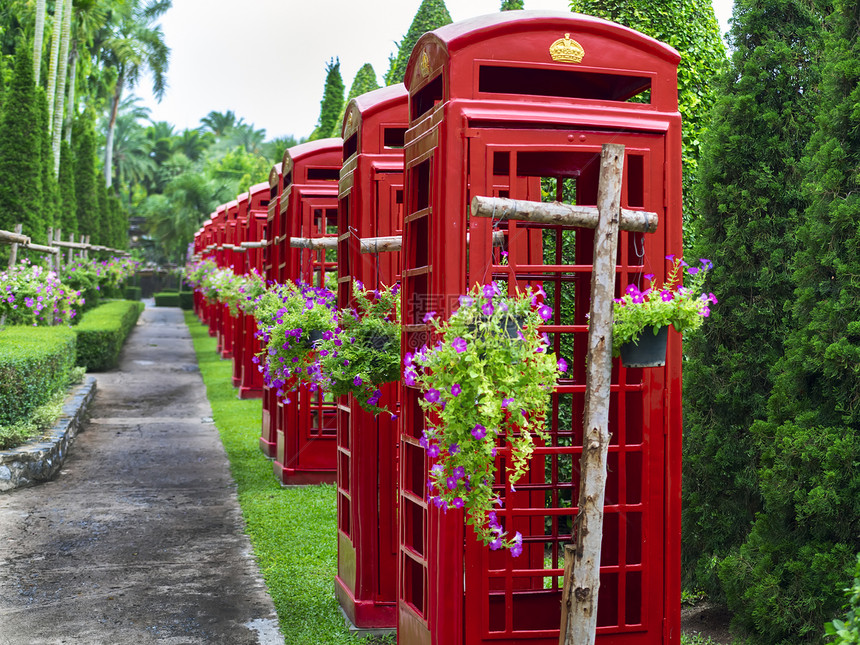 泰国电话布斯树木天空场景植物群阳光蓝色热带种植园植物电话亭图片