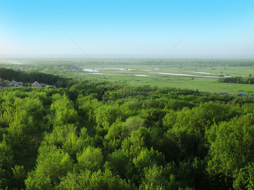 夏季的森林和田野上流淌的河流图片