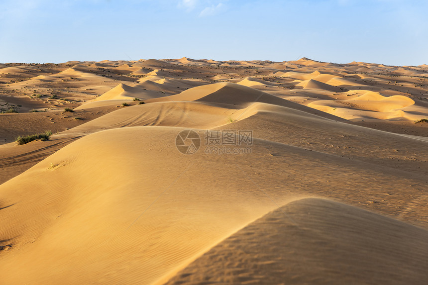 瓦希巴阿曼沙漠旅行绿色沙丘天空蓝色灌木丛假期衬套植物旱谷图片