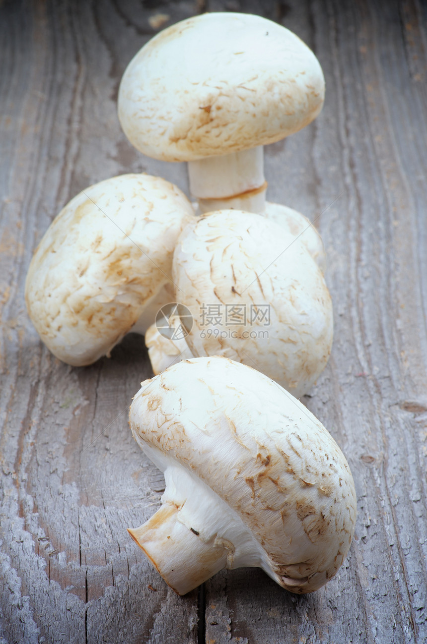 RR 香扁尼翁白色乡村棕色食物蘑菇背景灰色饮食食用菌全身图片