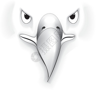鹰的眼睛鹰脸筒自由力量羽毛猫头鹰动物园荒野鸟类濒危猎人食肉插画