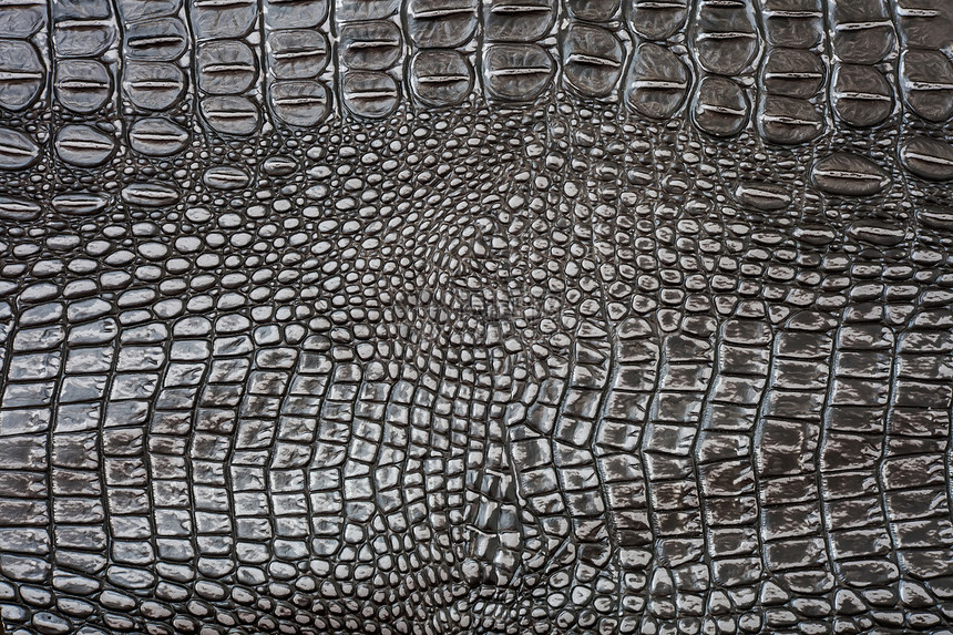 鳄皮艺术牛皮巧克力蛇皮鳄鱼真皮野生动物濒危宏观皮革图片