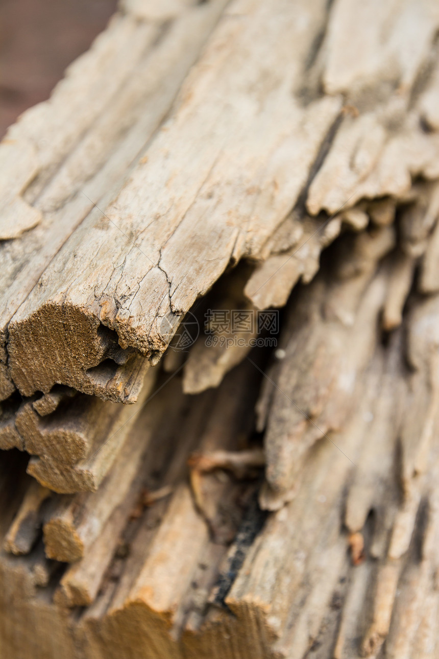 碎裂原木裂缝木材日志木头树干图片