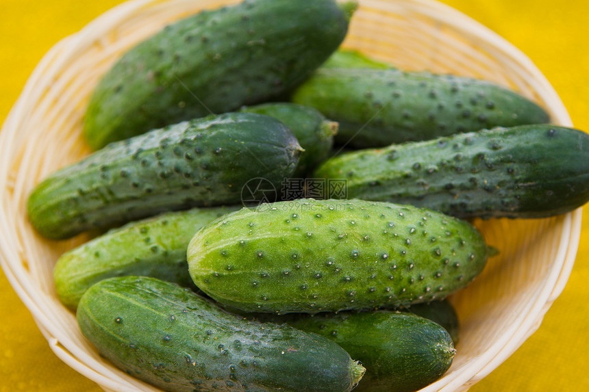 黄瓜食物蔬菜绿色水果图片