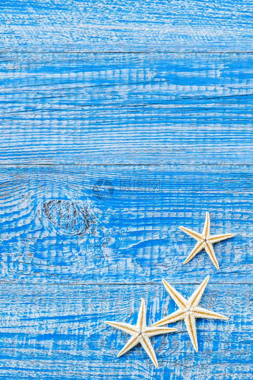 海贝壳贝类地面贝壳卡片框架甲板明信片边界木头木板图片