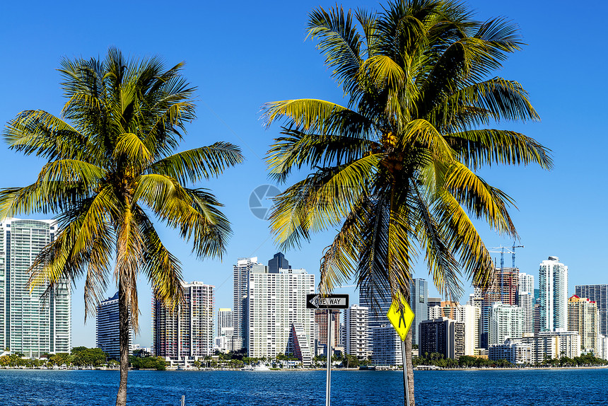 迈阿密市中心天线热带目的地地标反射公寓城市全景海洋假期天际图片