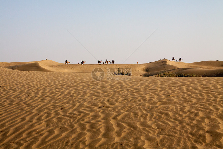 骆驼车队地平轨道沙丘前方蓝天空图片