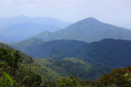 泰国南部国家公园的景象很美 校对 Portnoy视点生长气候山坡森林风光热带地理旅行田园背景图片