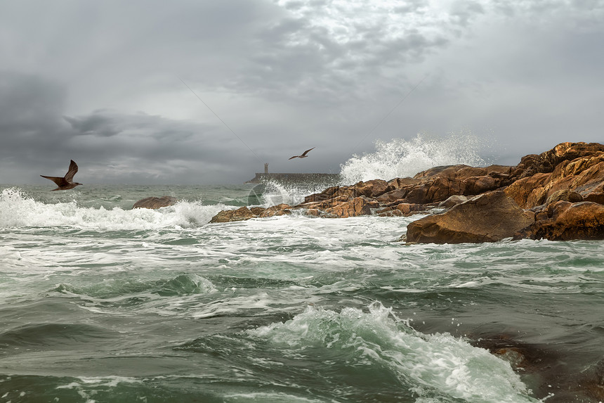 风暴港港口天气流动码头海岸冲浪海鸥泡沫堡垒力量图片