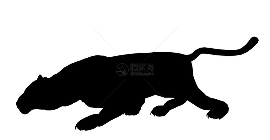 豹形说明猎豹剪影艺术狮子老虎插图图片