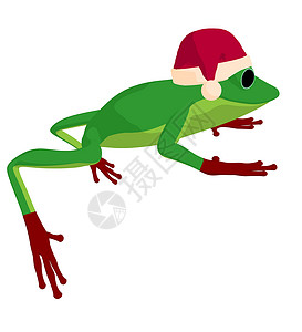 圣诞青蛙青蛙艺术说明香椿两栖艺术品卡通片动物插图背景